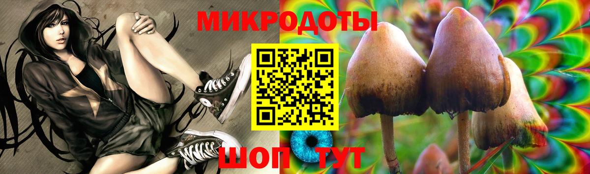 Псилоцибиновые грибы Psilocybe  Вход с VPN  закладки  Заинск 